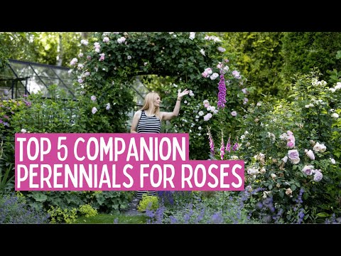 The Way To Hold Minimize Flowers Recent And Alive Longer The Old Farmer's Almanac